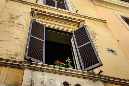 Window with flowers and blinds, old streets of Rome, Italy