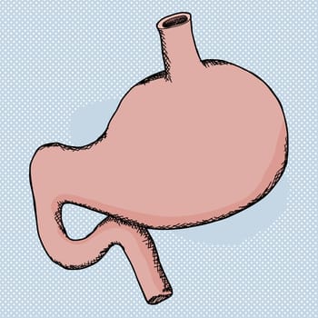 Hand drawn human stomach over blue background