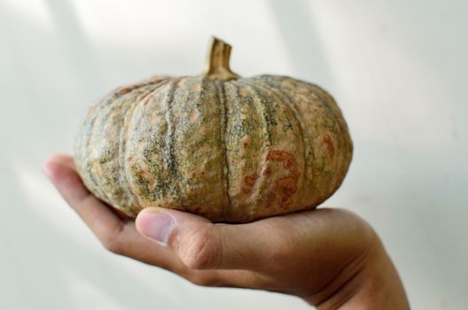 Pumpkin on hand