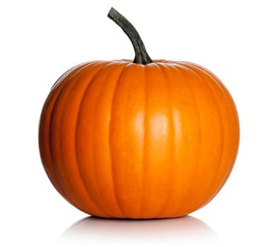 Orange pumpkin on white background. Fresh and ripe