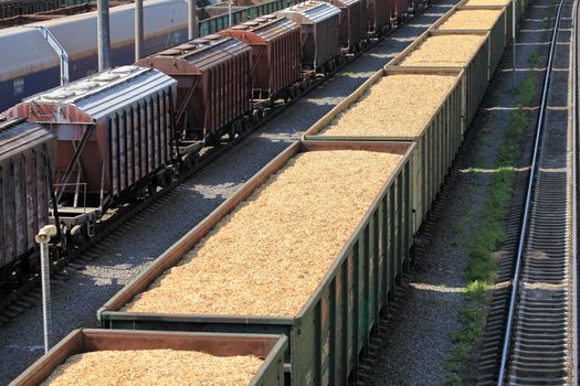 train yard full of freight trains 