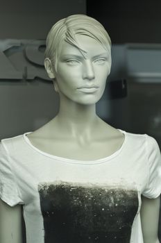 mannequin in the showcase store