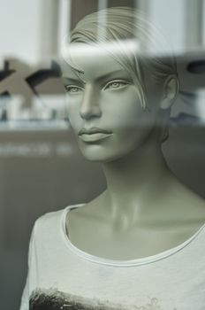 mannequin in the showcase store