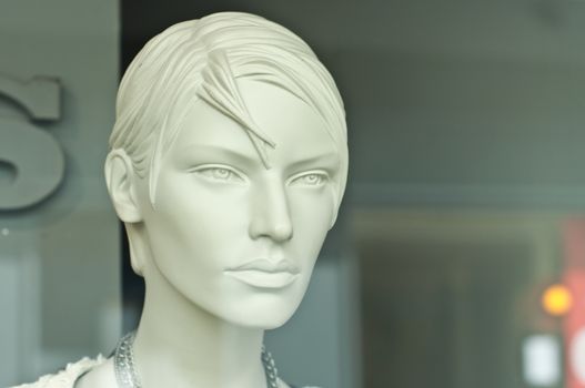 mannequin in the showcase store