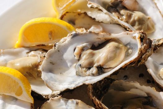 plate of oysters with lemon and special sauce