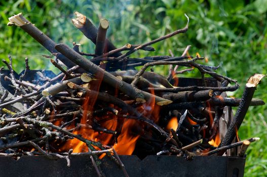 Barbecue Fire winch Tree Stumps in Brazier on Green Grass background Outdoors