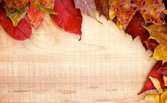 Border of Wet Yellowed Autumn Leafs closeup on Rustic Wooden background 