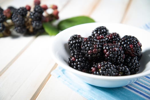 fresh organic blackberries on plate  on white background retro kitchen table