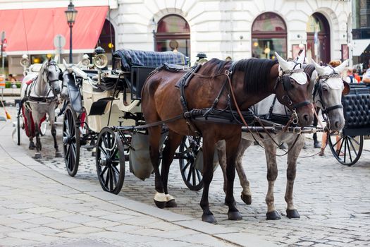 VIENNA, AUSTRIA - AUGUST 4, 2013: Traditional horse-driven carriage at Hofburg palace, Vienna, Austria