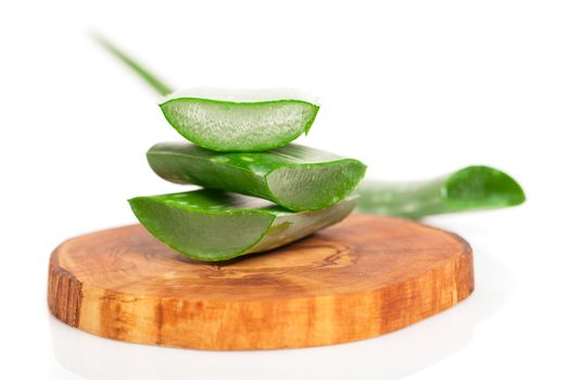 aloe vera fresh leaf. isolated over white