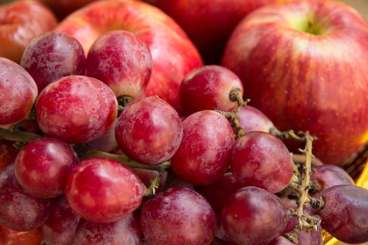 Close up of a large cluster of red grapes and apple