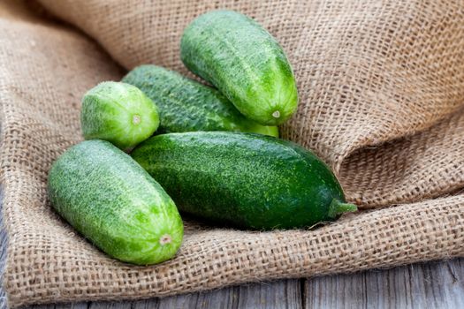 cucumbers on the wooden background