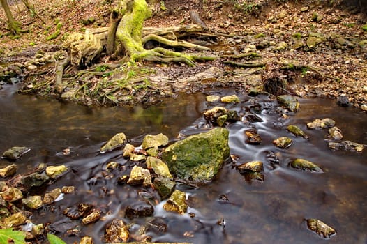 Stream flowing in the forest