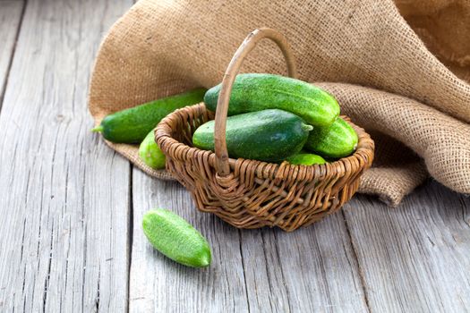 Harvest cucumbers in a basket on the wooden background