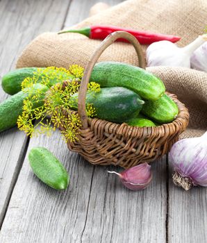 Preparation of cucumbers and greenery is to canning