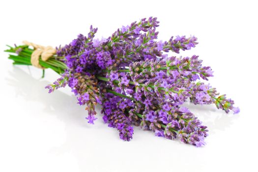 Bunch of lavender on a white background.