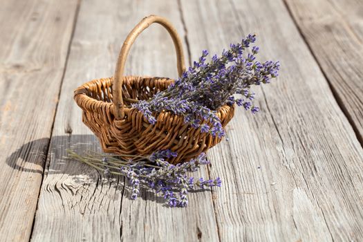 Basket with a lavender, on wooden background