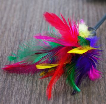 Little toy for cats with many colorful feathers, focus on the center of image