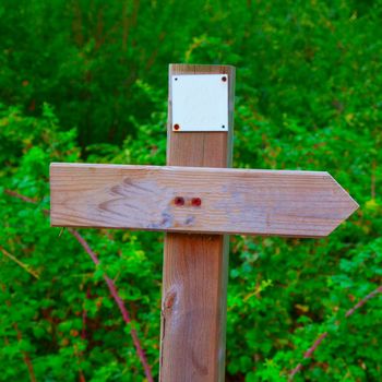 Wooden sign with directional arrow in the wood