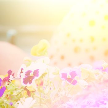 vivid color beautiful wild flowers in soft style.For art texture or web design and vertical background