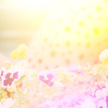 vivid color beautiful wild flowers in soft style.For art texture or web design and vertical background