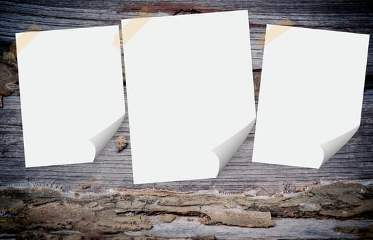 Blank paper on the wood background