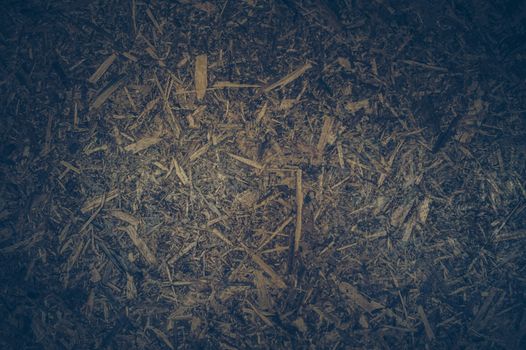 Scraps of wood panel texture background.