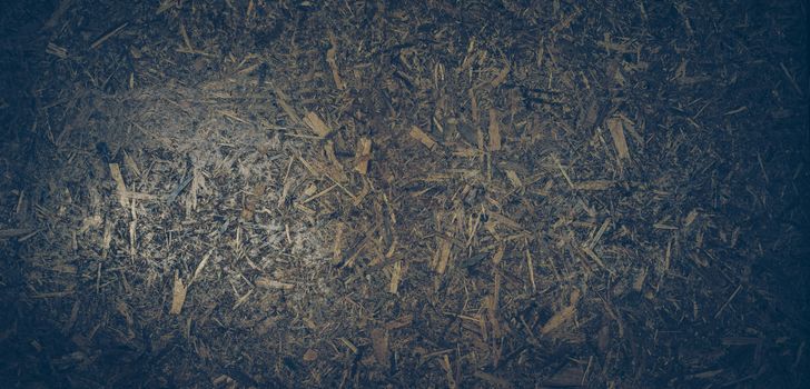 Scraps of wood panel texture background.