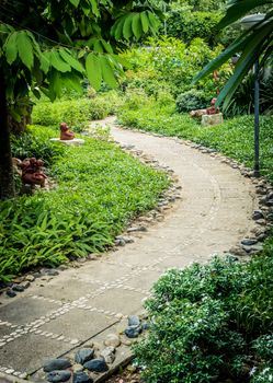 The rock pathway design flowery in garden