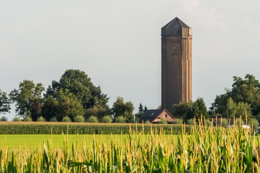Looking over dutch farmland towards a water tower