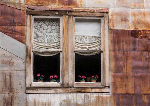 Old wooden windows and flowers in ghost town of St Elmo in Colorado