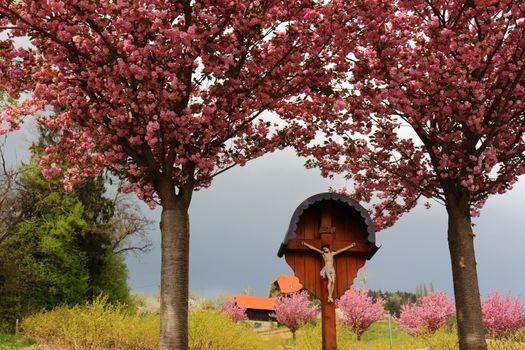  Idyllic Landscape of Styria Austria