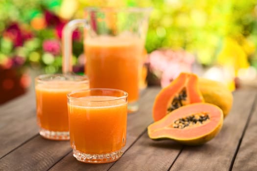 Two glasses of freshly prepared papaya juice with pitcher and papaya fruits in the back on table outdoors (Selective Focus, Focus on the front rim of the first glass) 