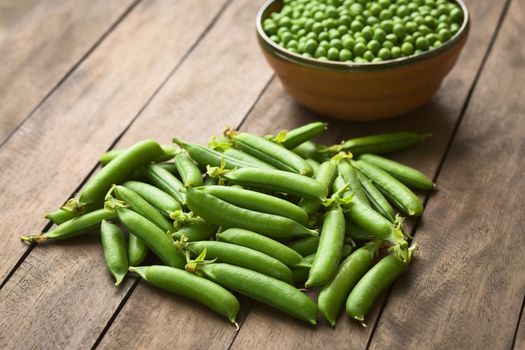 Peapods (lat. Pisum sativum) on table with a bowl of peas in the back (Selective Focus, Focus into the middle of the peapods)