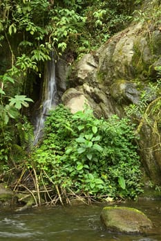 Small waterfall surrounded by rocks and lush vegetation at a small natural pond in the cloud forest in Ecuador close to the small town of Rio Verde