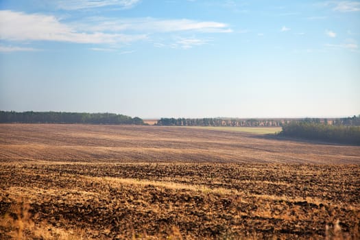 Landscape with cloudy sky, trees and tilled soil