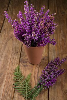 purple and viola heather flowers on wooden table