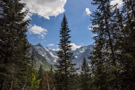 Landscape view over Polish Tatra  high mountains range famous tourist destination in Zakopane, Polish winter centre