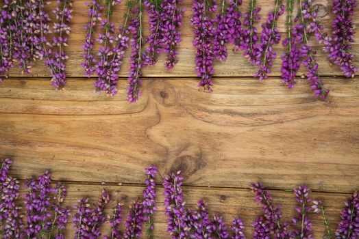 purple and viola heather flowers on wooden table