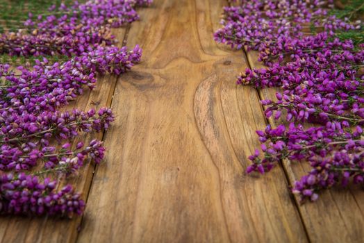 purple and viola heather flowers on wooden table