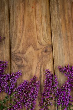 purple and viola heather flowers on wooden table