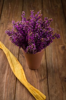 Purple and viola heather flowers on wooden table in ceramic pot with yellow ribbon