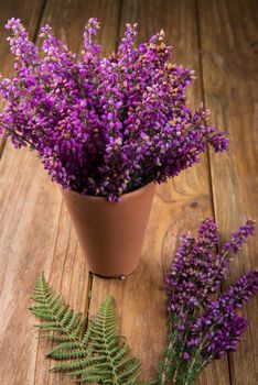 purple and viola heather flowers on wooden table