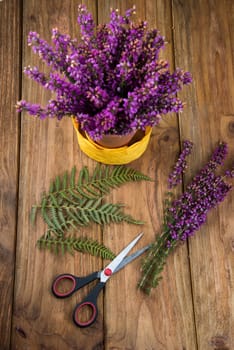 purple and viola heather flowers on wooden table in ceramic pot with yellow ribbonand scissors