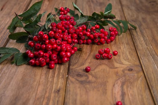 rowanberries on wooden table