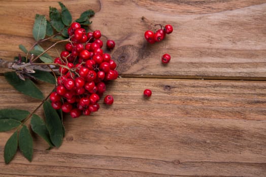 rowanberries on wooden table