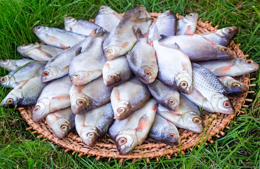 Carp and greens on a round dish. Presented on a white background.