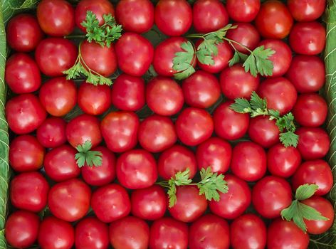 A large number ripe bright red tomato lie on a shop show-window.