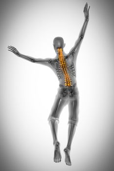 human bones radiography scan. x-ray  image
