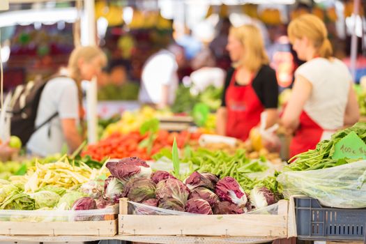 Farmers' market stall with variety of organic vegetable.